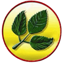 JNRM Logo